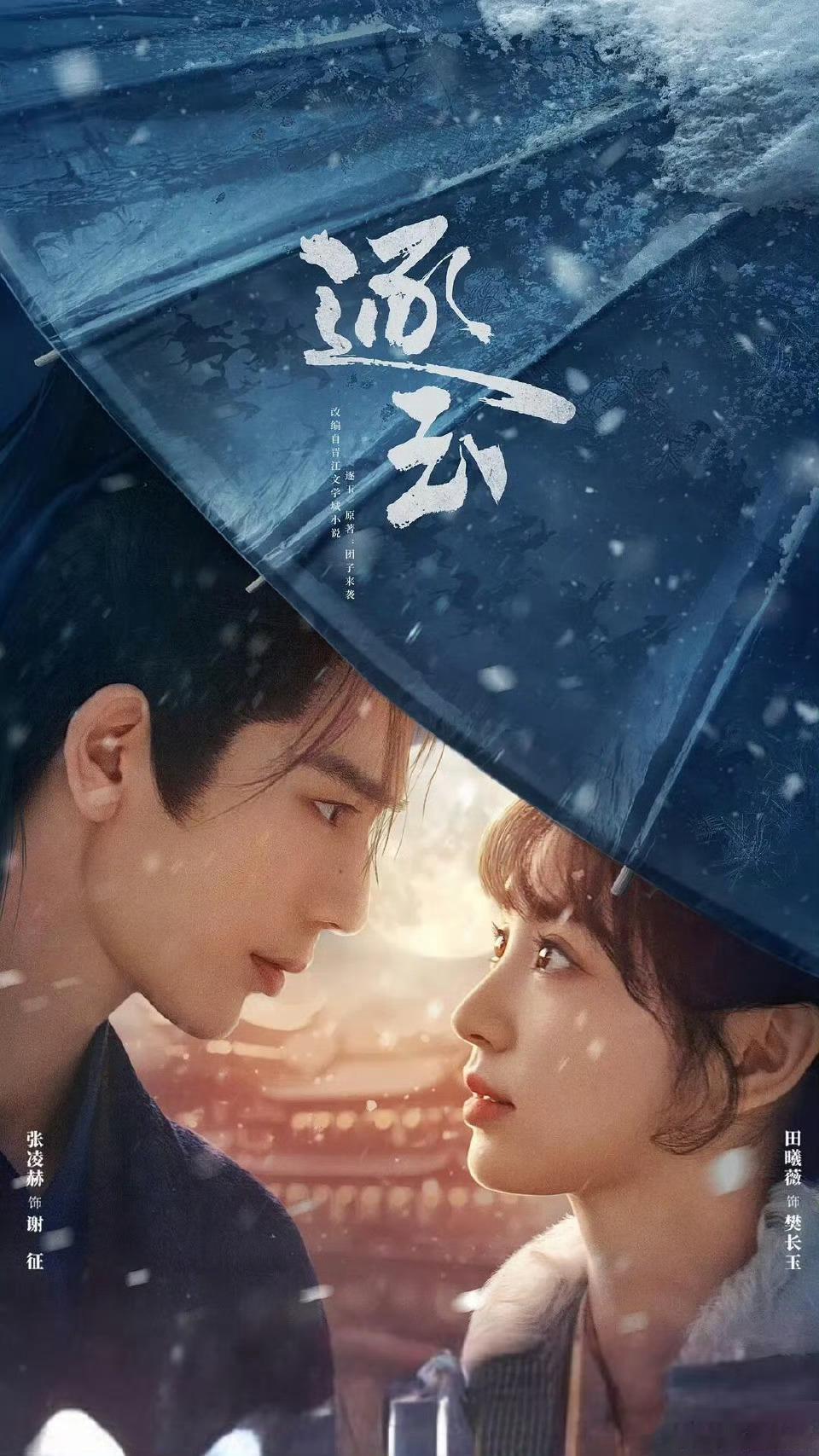 逐玉成功的原因男主温柔有破碎感，却不失担当与谋略，人设立体不扁平，对待感情专一克