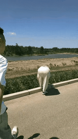 养驴场老板哭晕！这头驴挣脱缰绳，直奔自由去了！