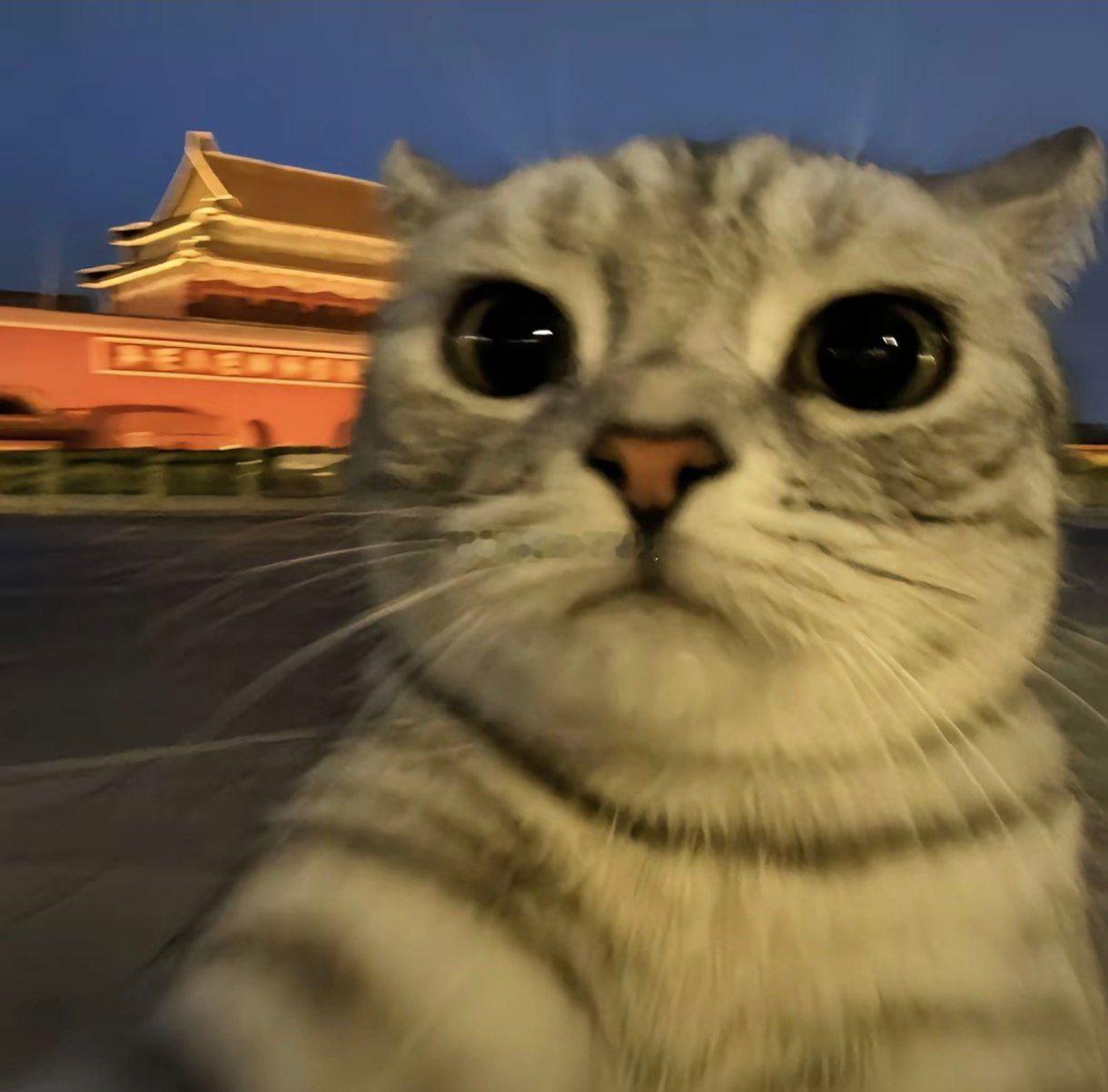 金饰价格崩了什么崩了？ 这叫利好老百姓不然涨这么高，刚需的人都买不起 