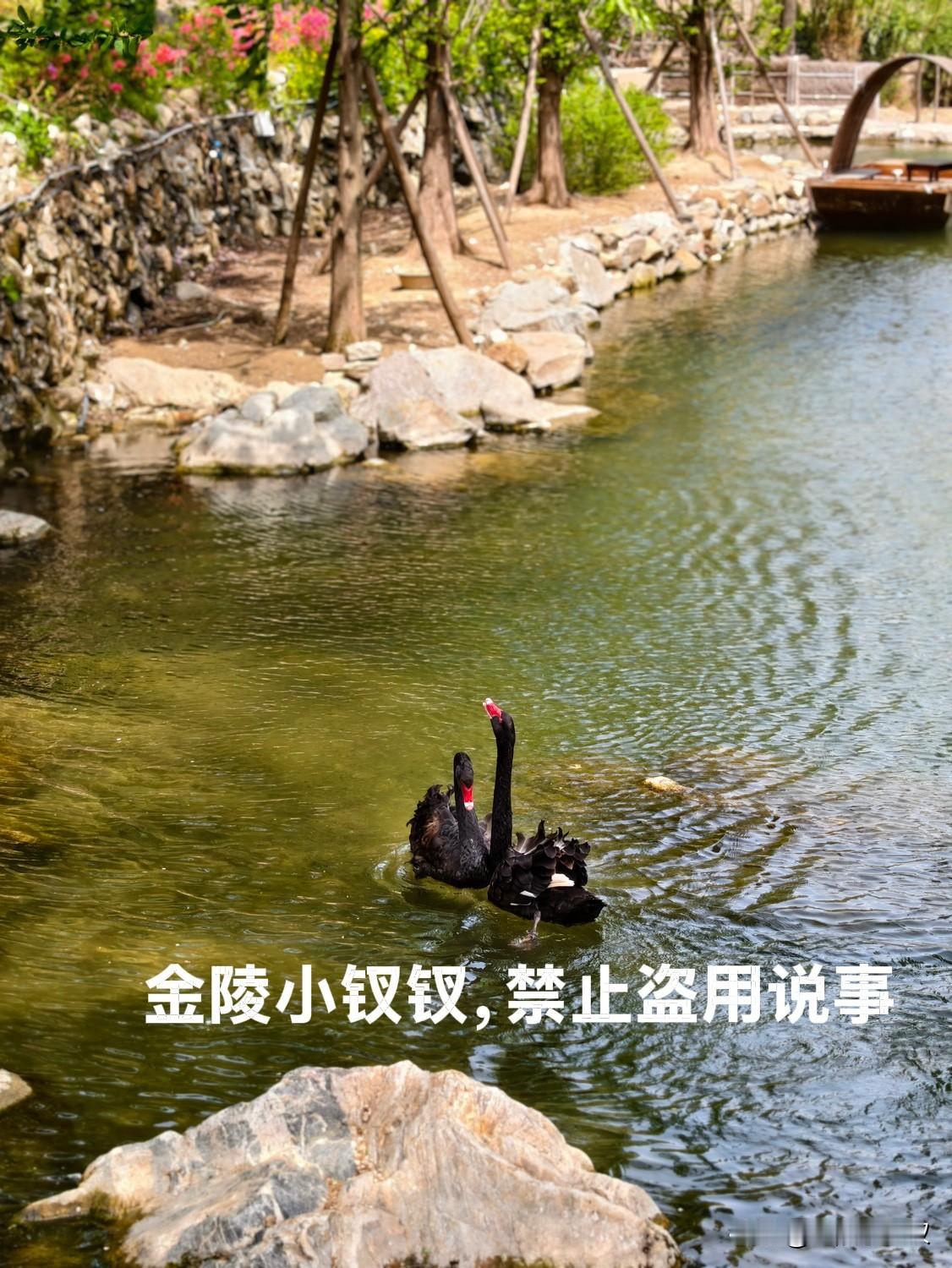 有合适的吗？记得俺家姑娘啊！

在我的同龄人孩子中，男孩不婚不育的不多，反倒是女