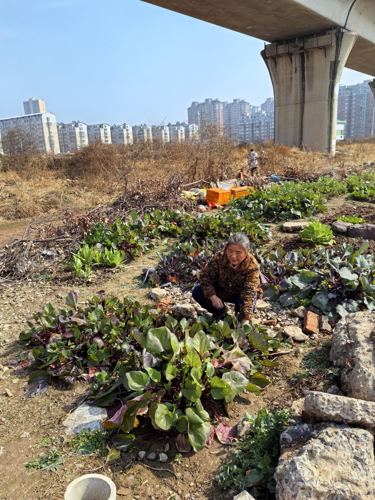 友友们喜欢点赞多于评论，原因其实不少。一方面，点赞操作简单，手指一点就能表达态度