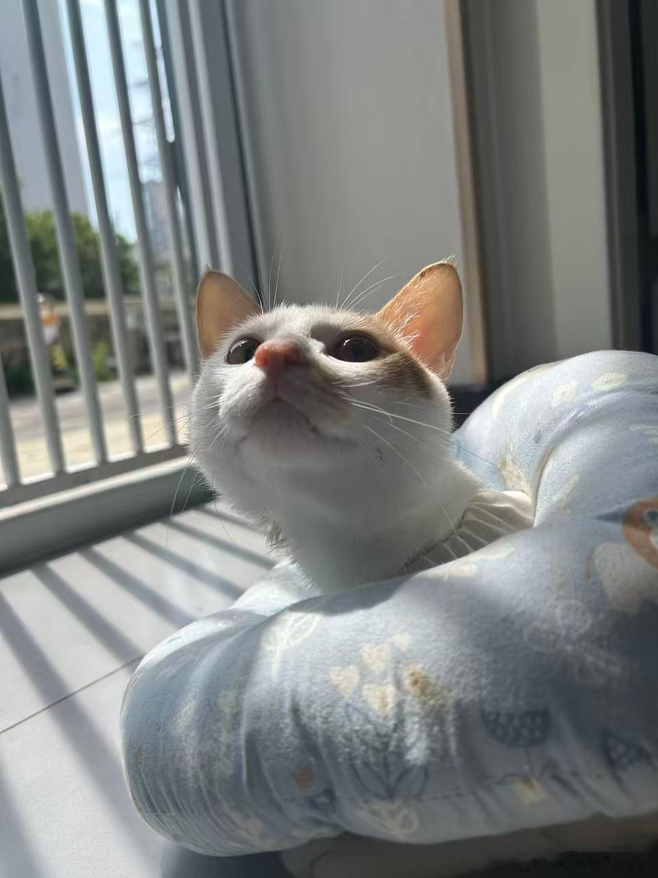 春风得意～