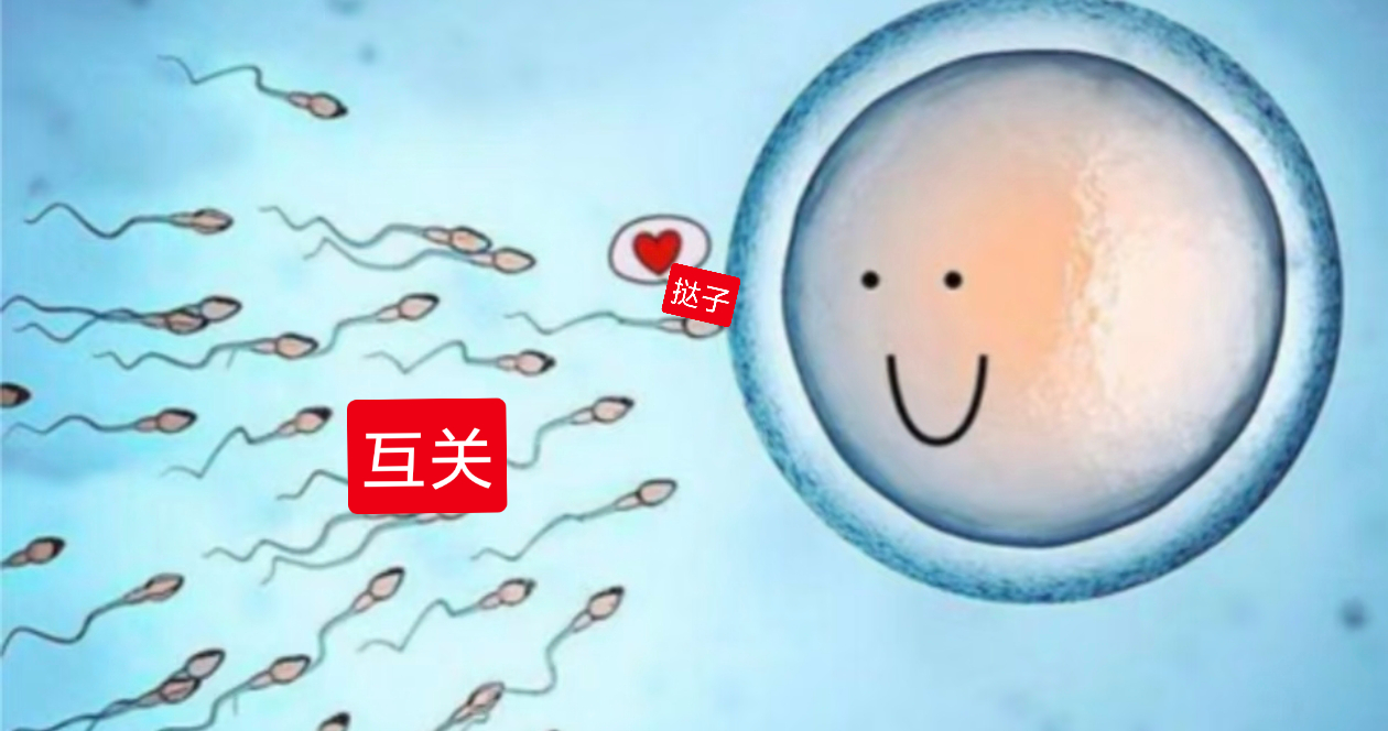 互关我就说我们小时候在一起玩过 只是你不记得了 