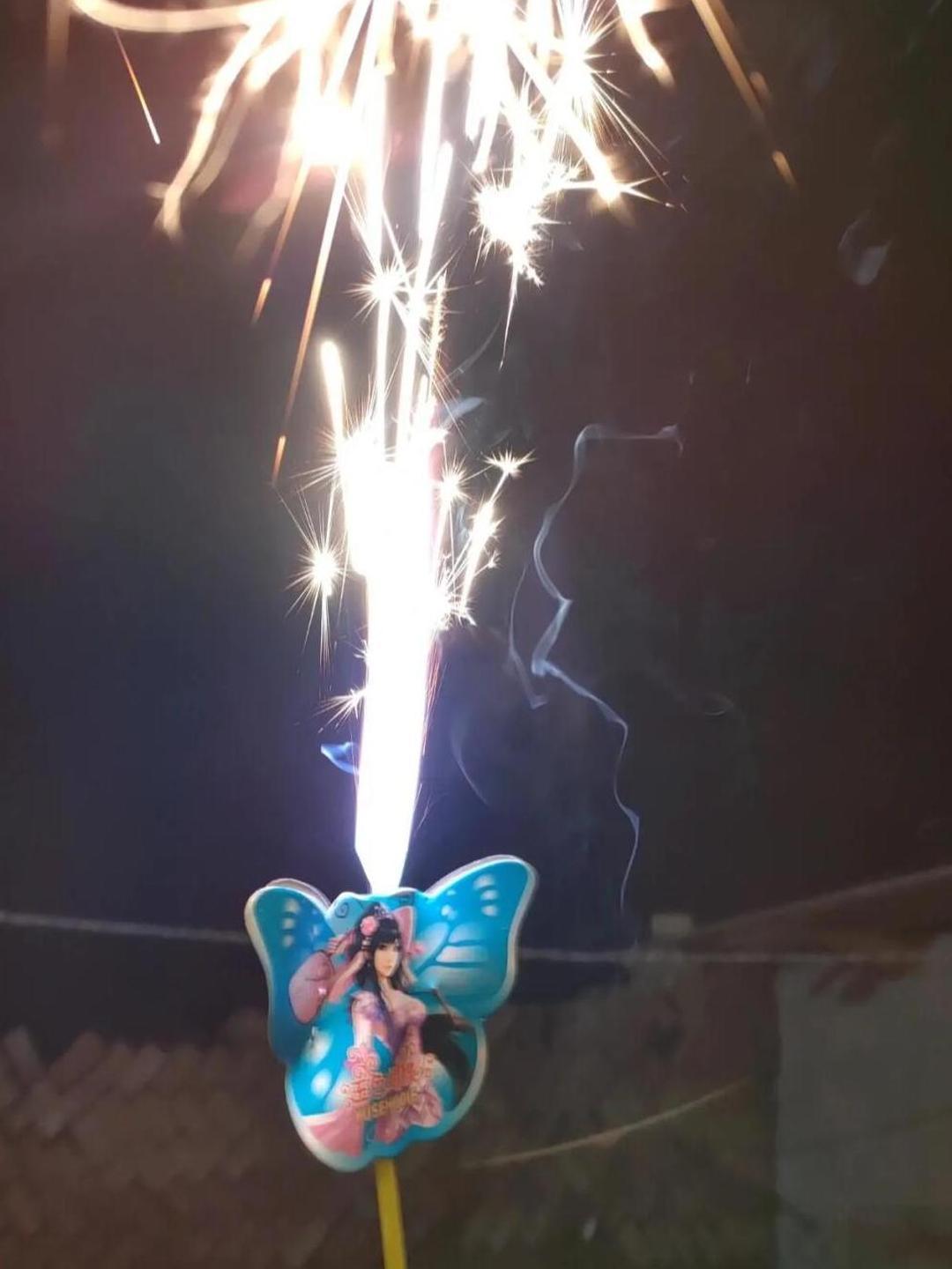 爸爸不在了，妈妈也离开了这个家，再也没有回来。
​​弟弟还小，走路都要紧紧攥着她