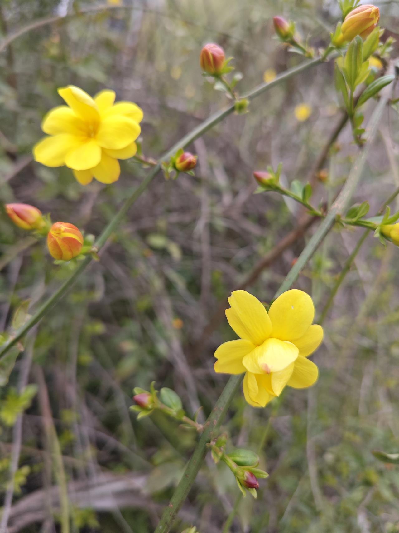 养生就抓这两点，做好了比啥都强
 
养生根本没那么复杂，别听那些玄乎的，说白了就