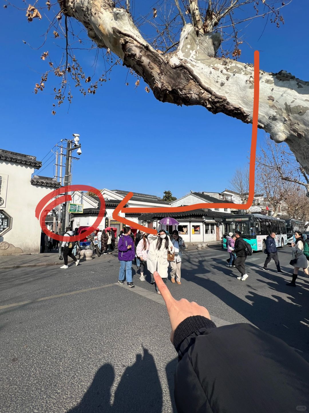 记住平江路这个位置！！甜品脑袋进！！！