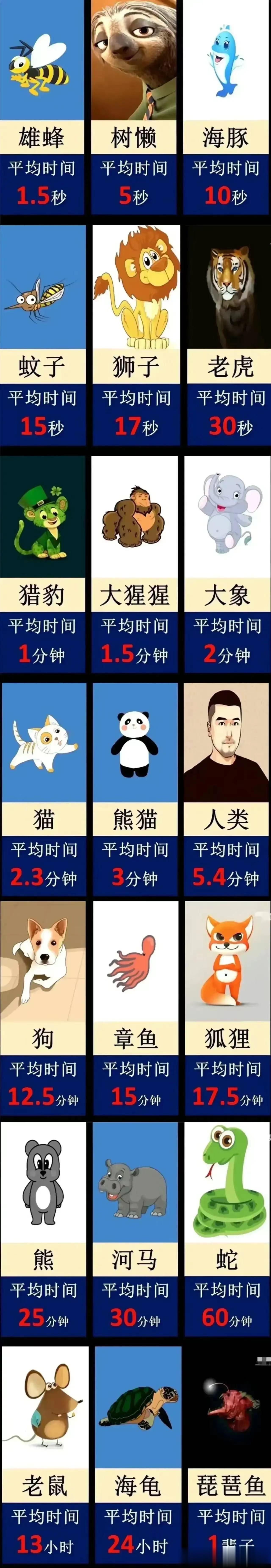 有人问：动物的平均交配时间都是多长？树懒比较懒，交配时间只有5秒，而人类的时间长