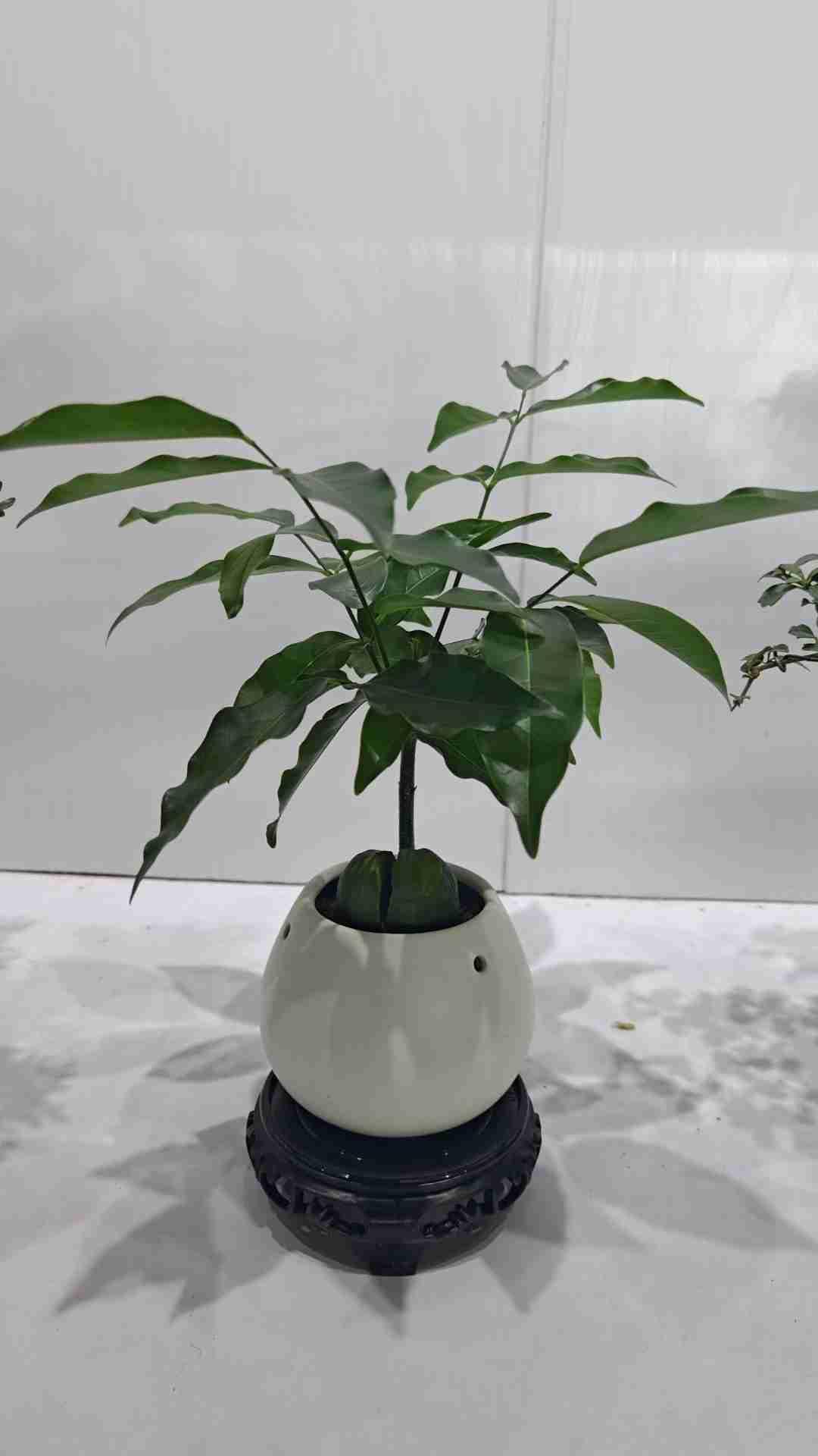 我的今日状态：😁轻松愉快
我这里的天气：☀️晴天