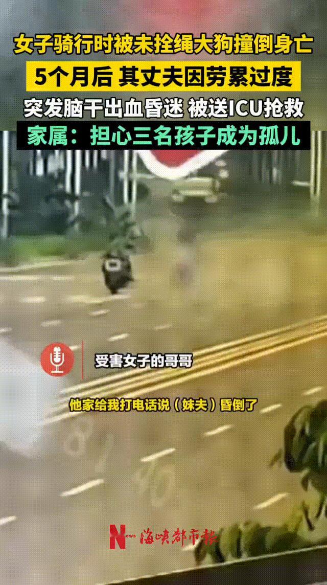 两起与狗有关刑案的进展来了：邯郸女子被大狗撞死案，其丈夫操劳过度，突发脑溢血；北