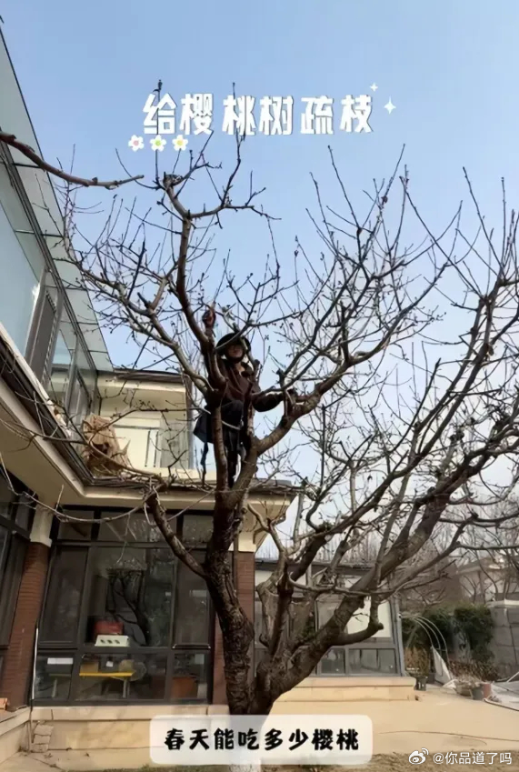 邓莎与路行离婚后过得格外舒心，住在北京的大别墅里，不用操心儿子学业，也不用顾及老