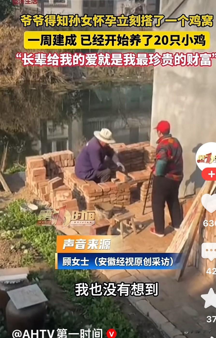 江苏南通，得知孙女怀孕，爷爷奶奶亲手砌鸡舍抓小鸡。孙女：这就是长辈的爱，是我一辈