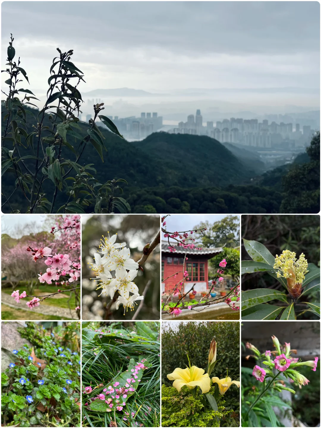 福州随拍｜雨中的鼓山，有不一样的风景