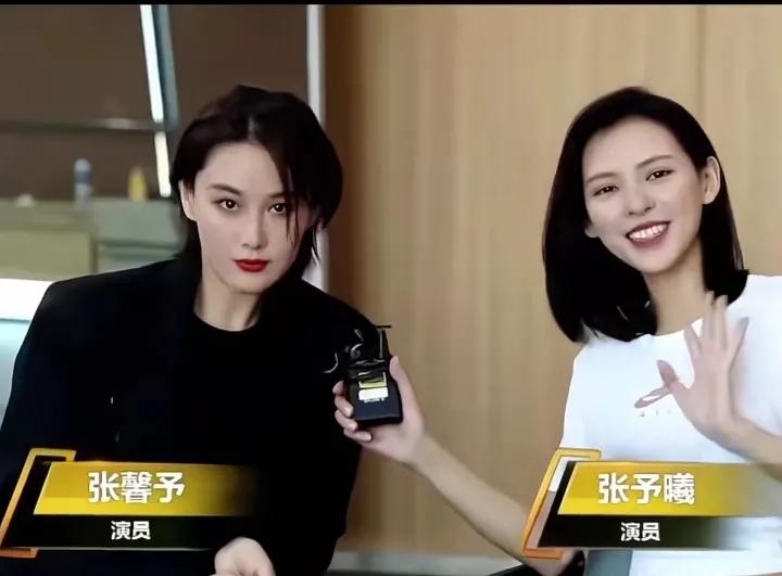 张馨予，张予曦
就是我傻傻的分不清的一对儿。
除了名字长得特别像一个
模样长得也