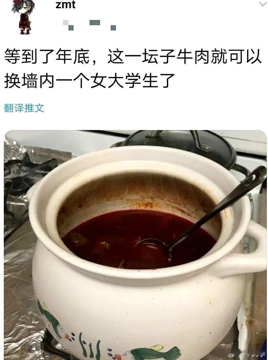 高华殖人的白日梦 ​​​