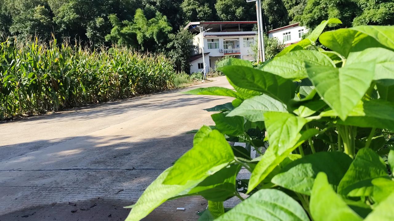 分享一张自然风景的照片乡村风景欣赏