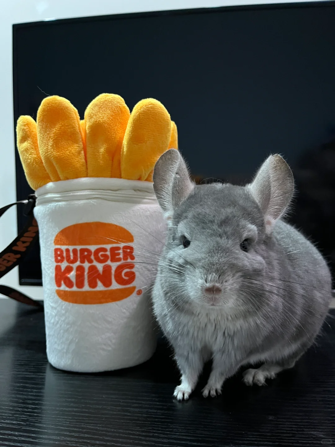 龙猫阿呆阿瓜是汉堡王薯条鼠🍟