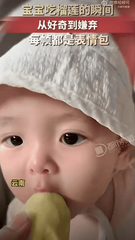 云南，一小家伙一开始盯着榴莲，满脸都是好奇，小脑袋凑上前，还想着尝尝这黄黄的果肉