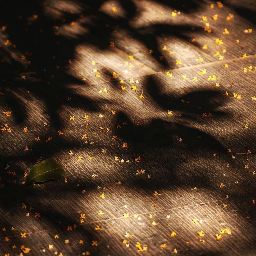 𝐰𝐞𝐜𝐡𝐚𝐭值得长期不换的小众背景图 ˚₊‧꒰𓆩 ♱ 𓆪꒱ ‧₊