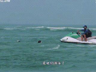 大家注意看！白鹿在大海里口鼻都灌海水，差点窒息。白鹿翻宋雨琦白眼