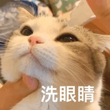 弄琴热看科技