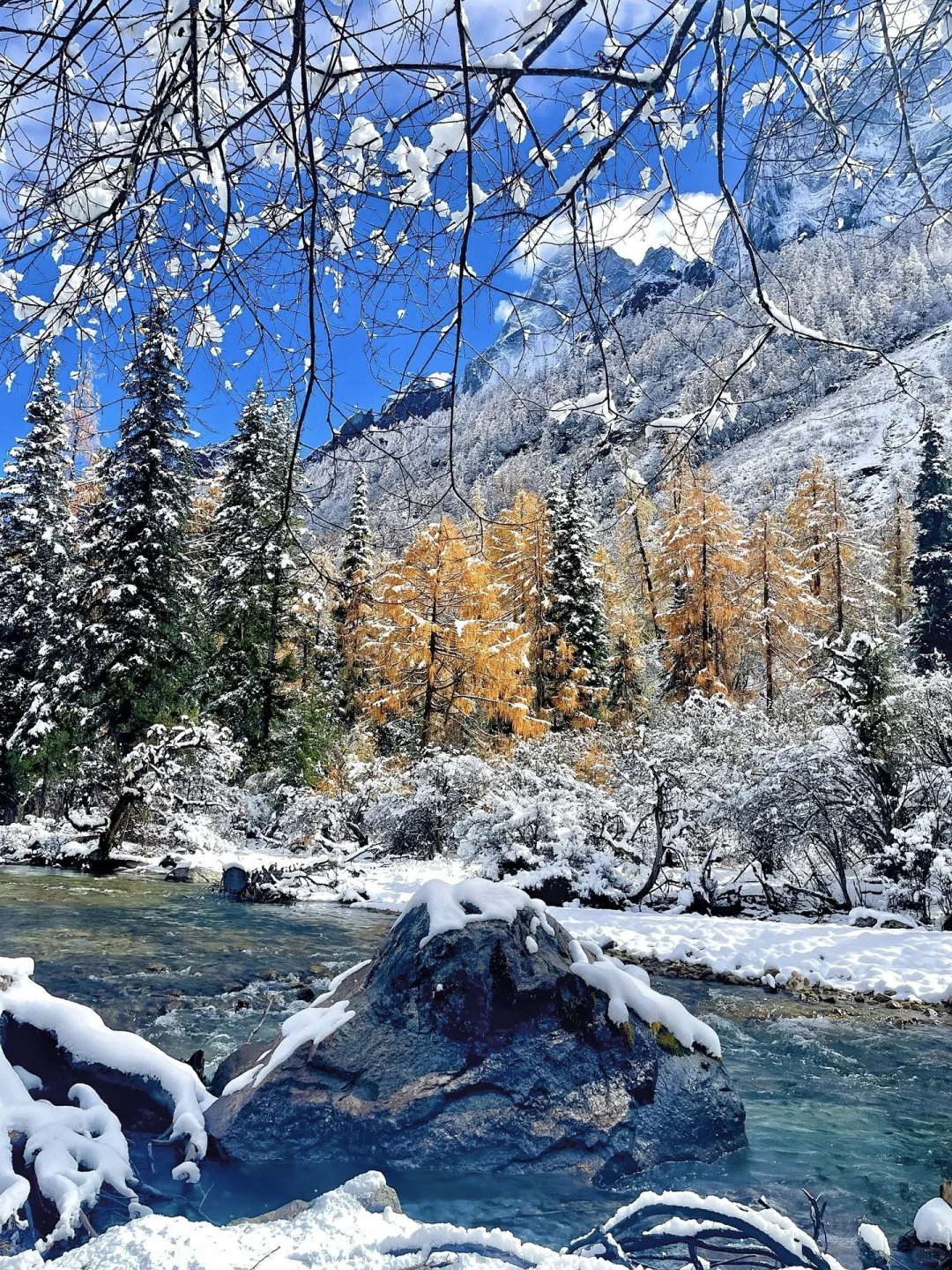 11.5📍下雪后的川西豪赌成功！真的没白去