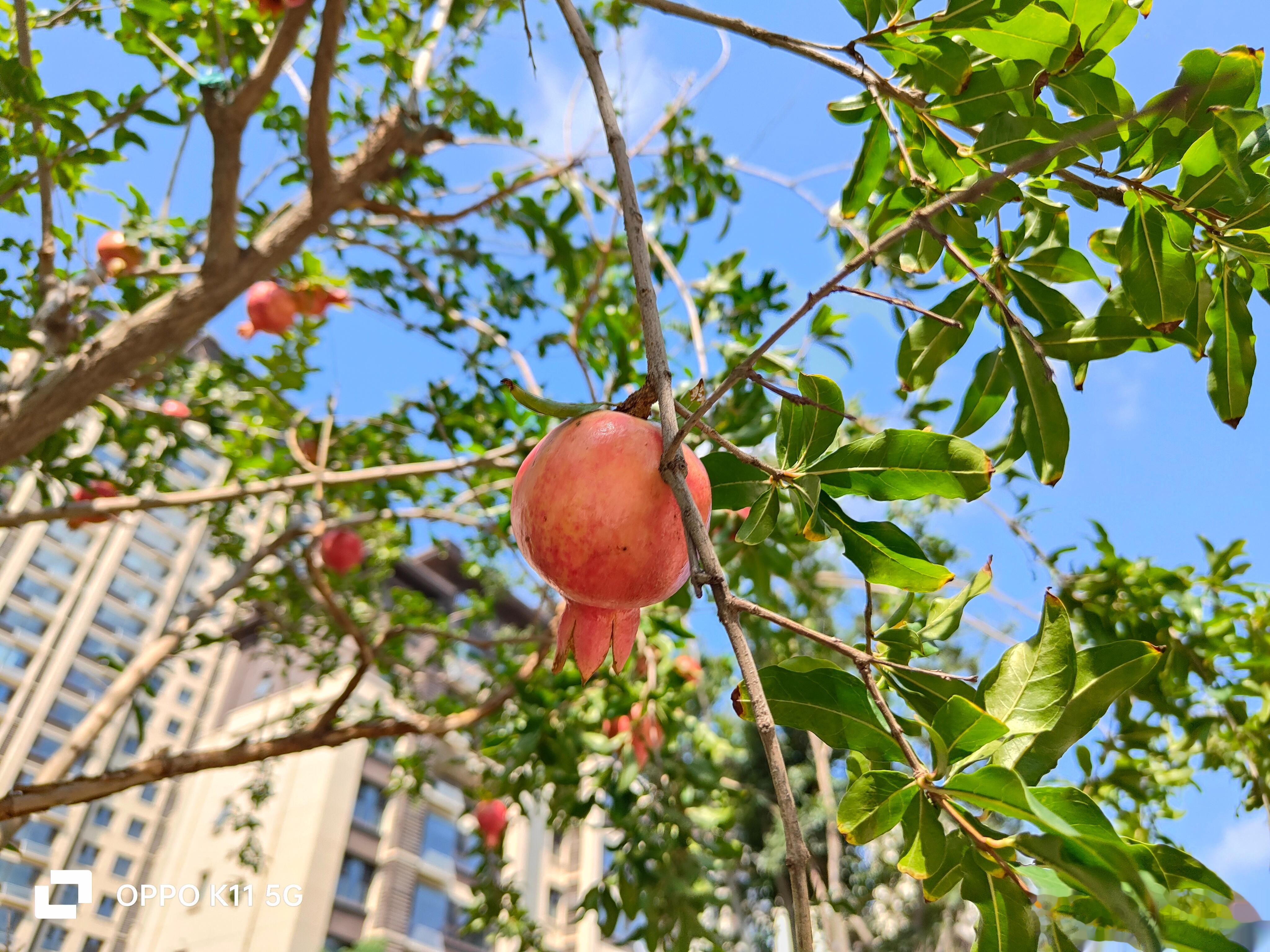#每天早起打卡# 早上好，老铁们，今天有谁比我早吗？搬砖去喽。 ​​​