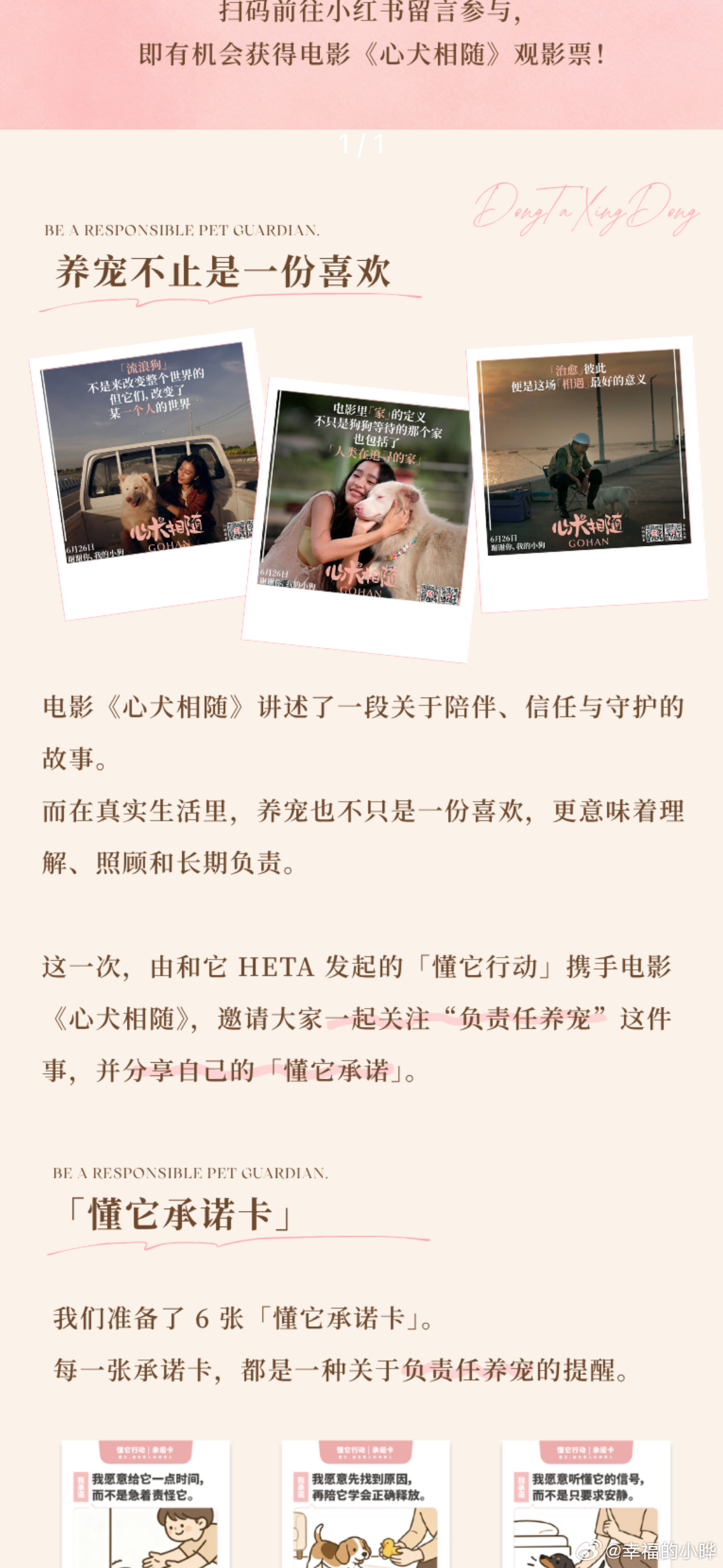 养她就爱她，不要毁了她 