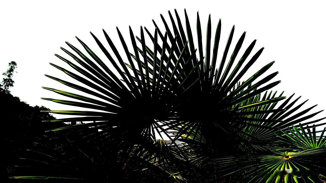 街上，怪异人扰民，让人遭罪。街上，人来人往，怪异女，街上时装秀。从街头到街尾，来