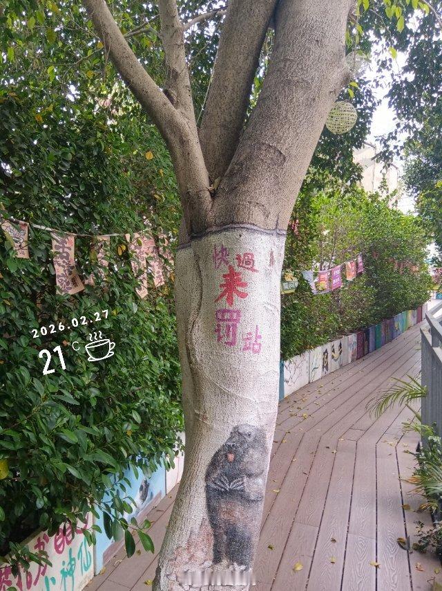 在下游球队打的好，就能立争上游球队。庄宇珊圣乔瓦尼的队友，副攻科丘丽娜签约瓦莱福