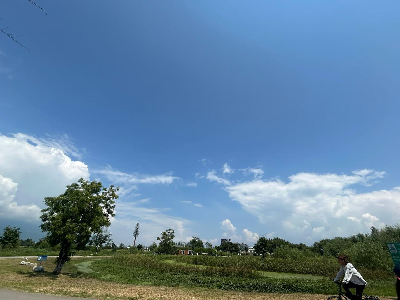 每日洱海
探索大理风光