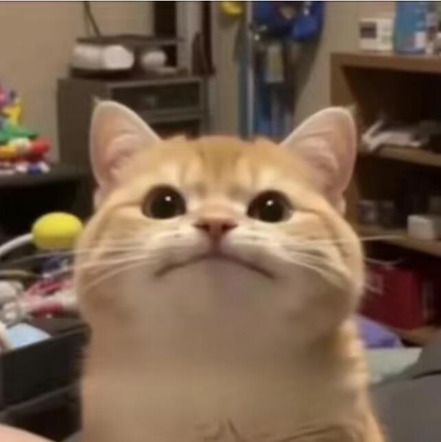 物业费越来越难收收费的时候就出现了，解决问题的时候消失