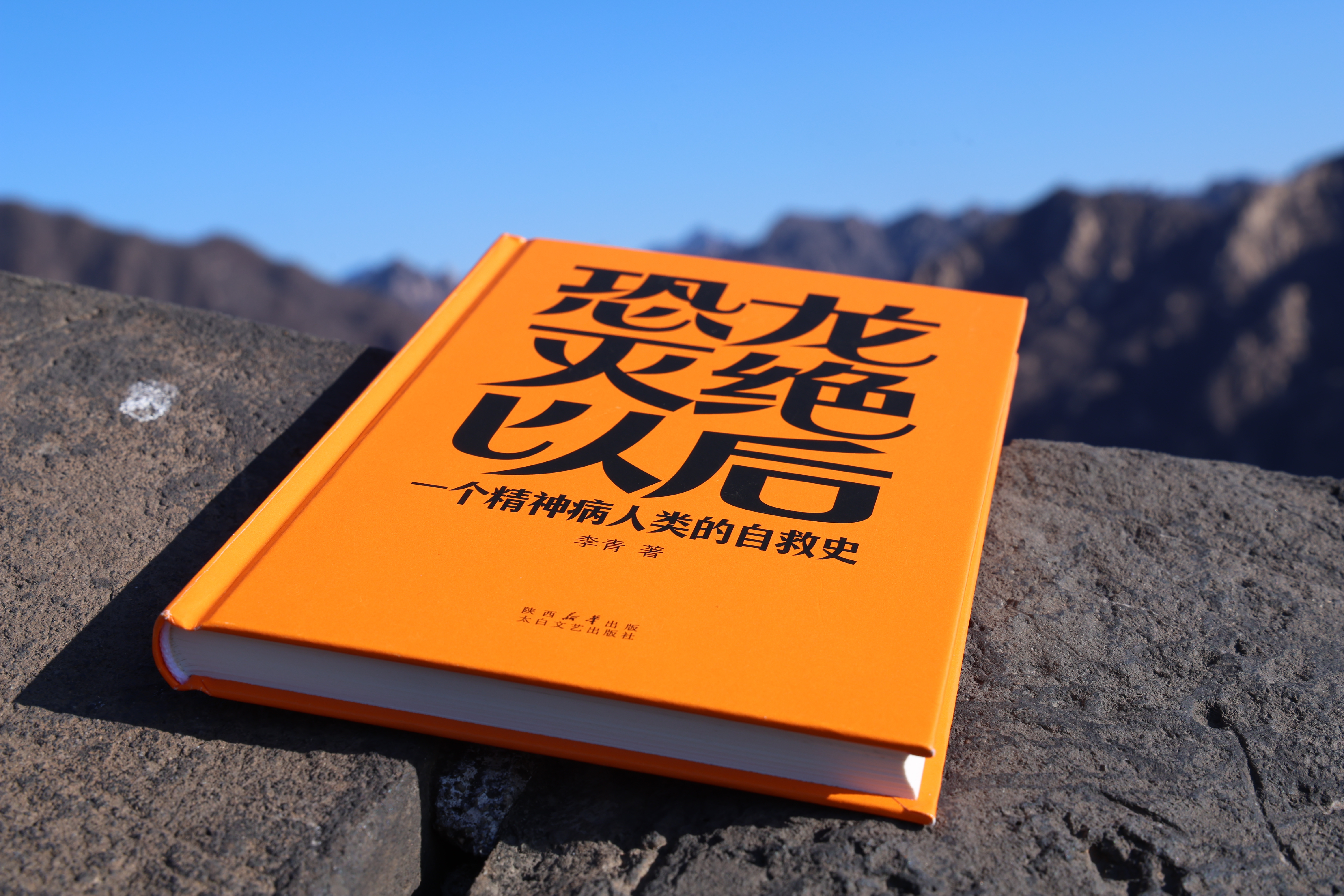 一本书的肖像图书：《恐龙灭绝以后：一个精神病人类的自救史》作者：出品：摄影：地点