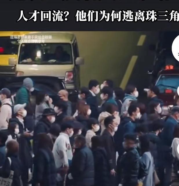 归家吧，家才是你避风的港湾！
近几年来粤西茂名的归雁潮持续攀升！
2023-20