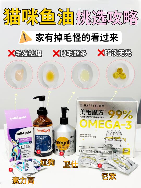 猫咪鱼油挑选攻略！掉毛怪家长看过来！