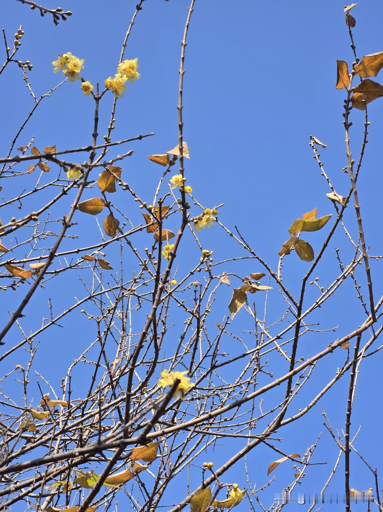 日本在上世纪90年代，也经历了考公热。

其背景是，80年末期经济泡沫破裂，失业