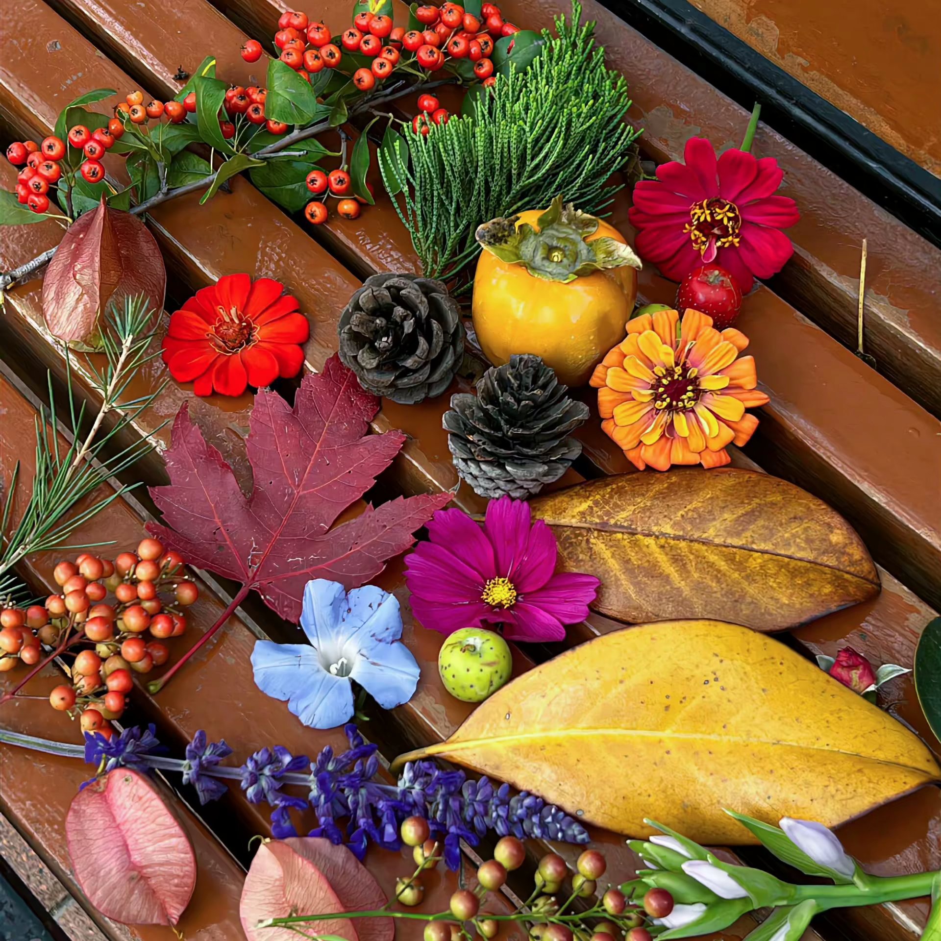 秋日感朋友圈背景图推荐🧡🍁🍂ヘ(_ _ヘ)朋友圈背景图背景图