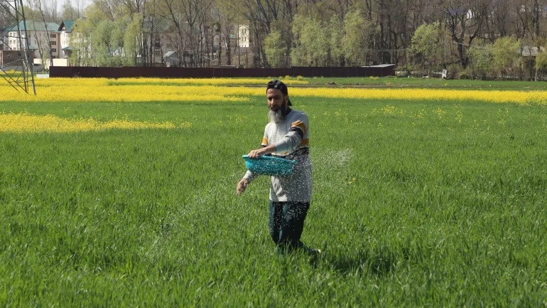 【“印度政府再三保证，恐慌仍在蔓延”】#战火蔓延印度农民恐慌化肥短缺# 霍尔木兹