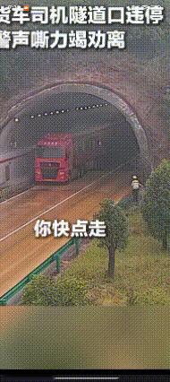 多么愚蠢的家伙！隔着屏幕都能把人吓出一身冷汗！

看到外面下雨，怕货被淋湿，想用