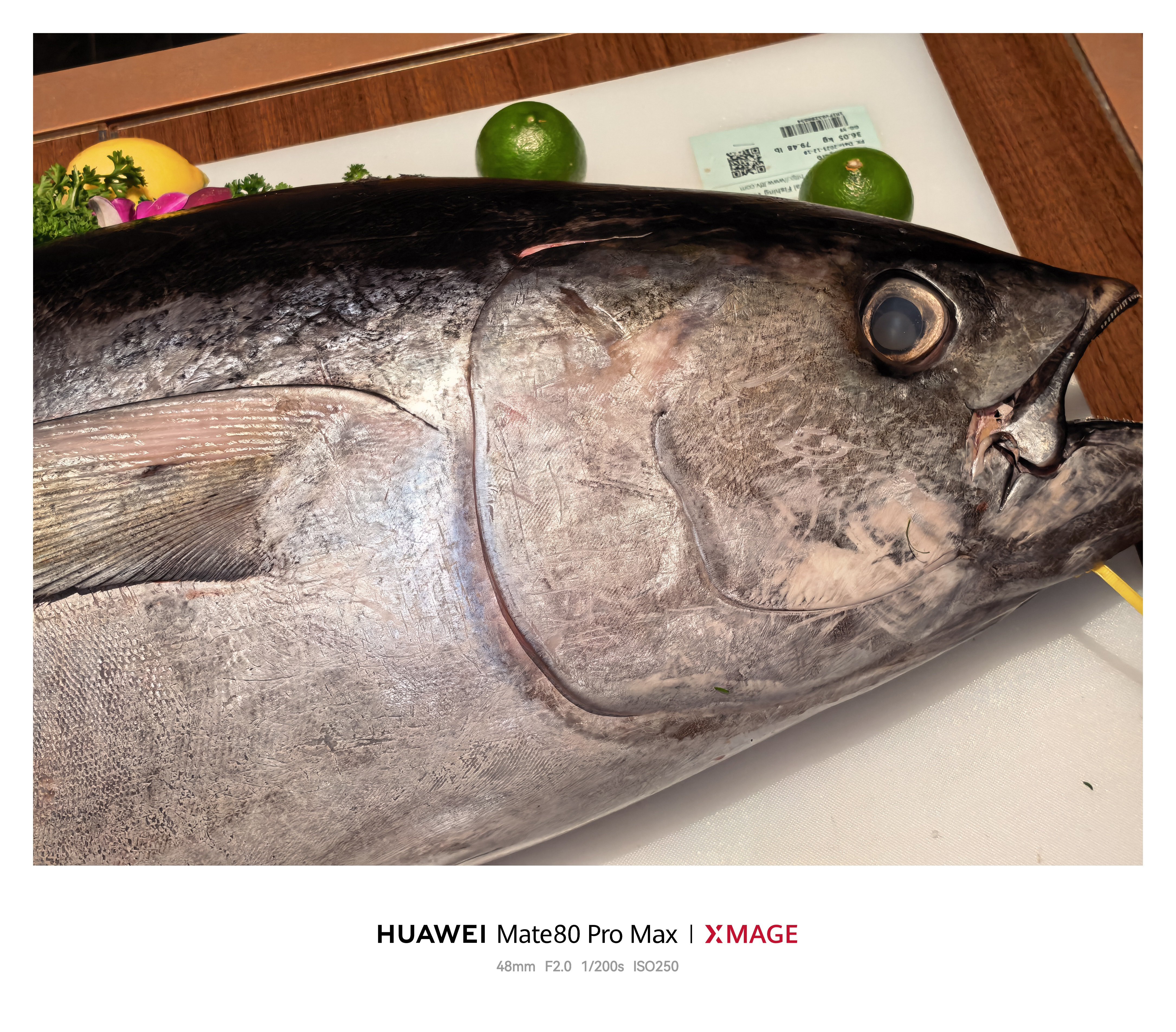 今天在酒店里看到了好大一条鱼，圣诞特定？ 