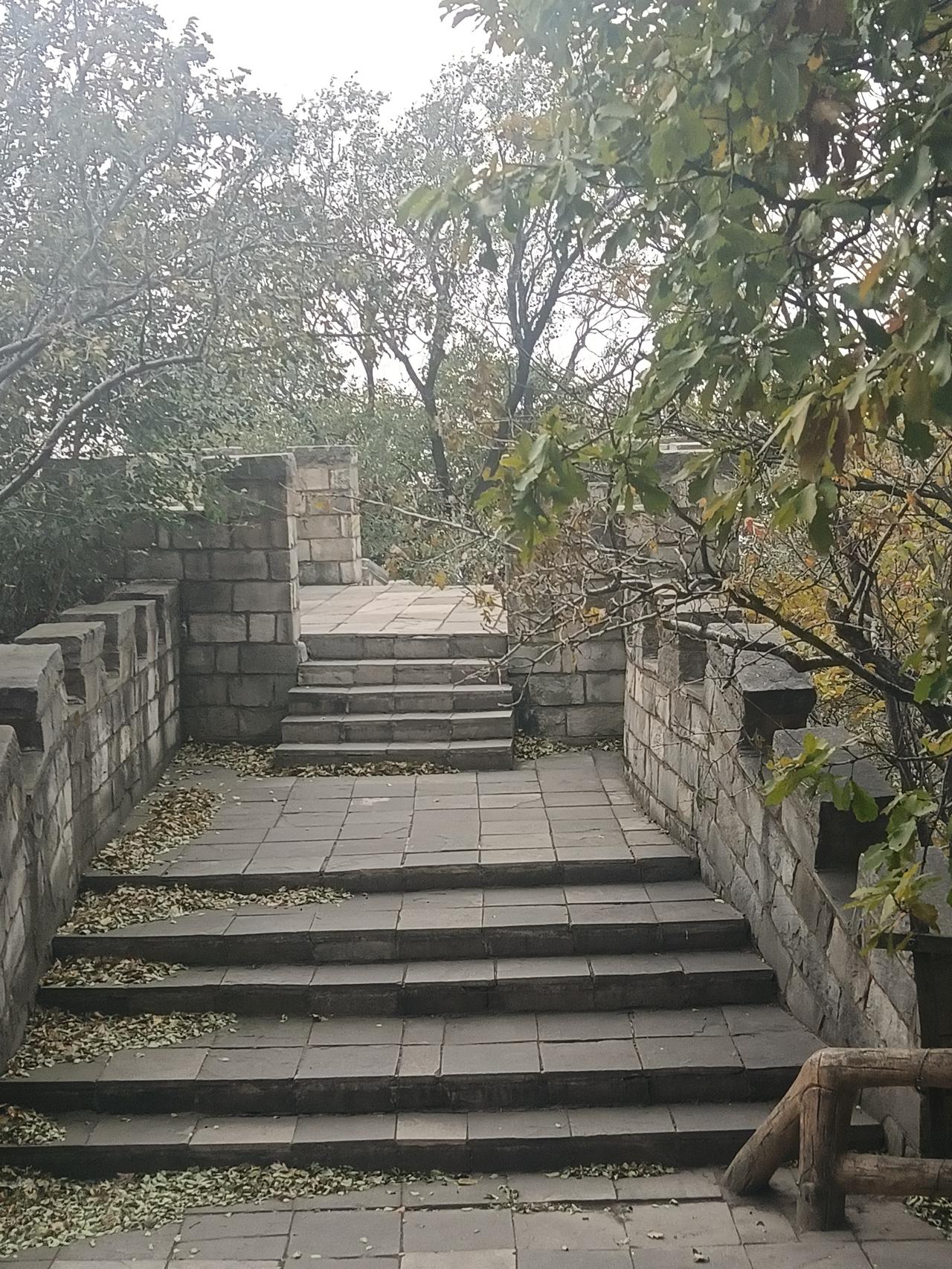 今天遇到了多年未见的老邻居小军 ，小军都55了，至今未婚。

小军是老邻居徐大爷