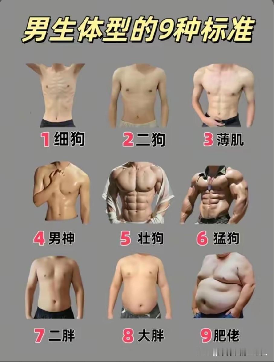 看看这张男人九种体型对照表，大家不妨对号入座，说说自己是哪一种，家里老公又属于哪