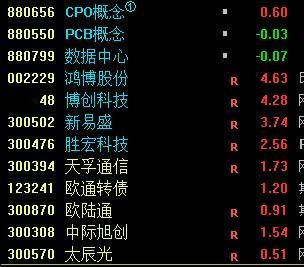 这地位，这梯队，杂毛就系杂毛 ​​​