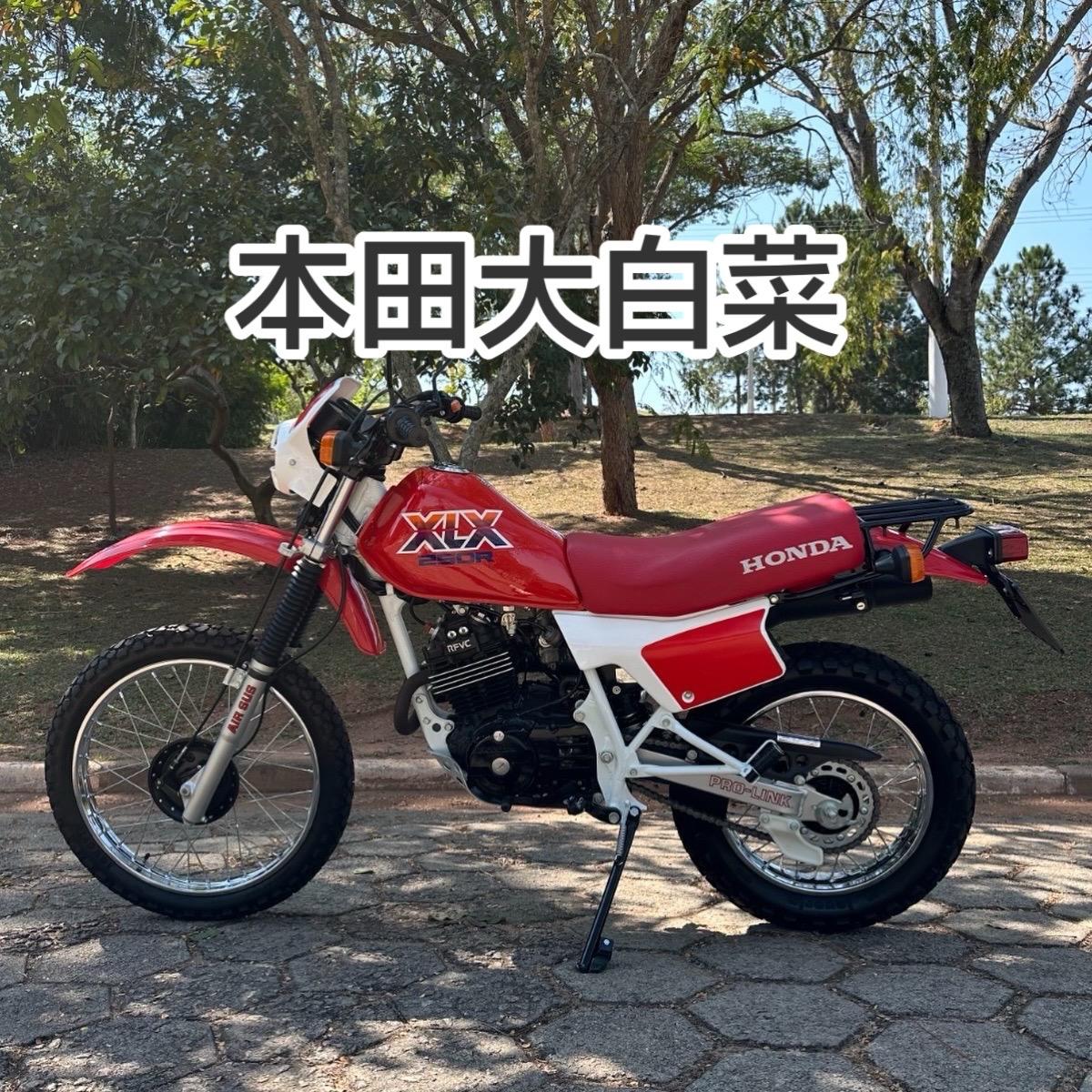 同样的设计为什么本田大白菜就比嘉陵大白菜漂亮呢？越野摩托车 嘉陵白菜 老车改装与