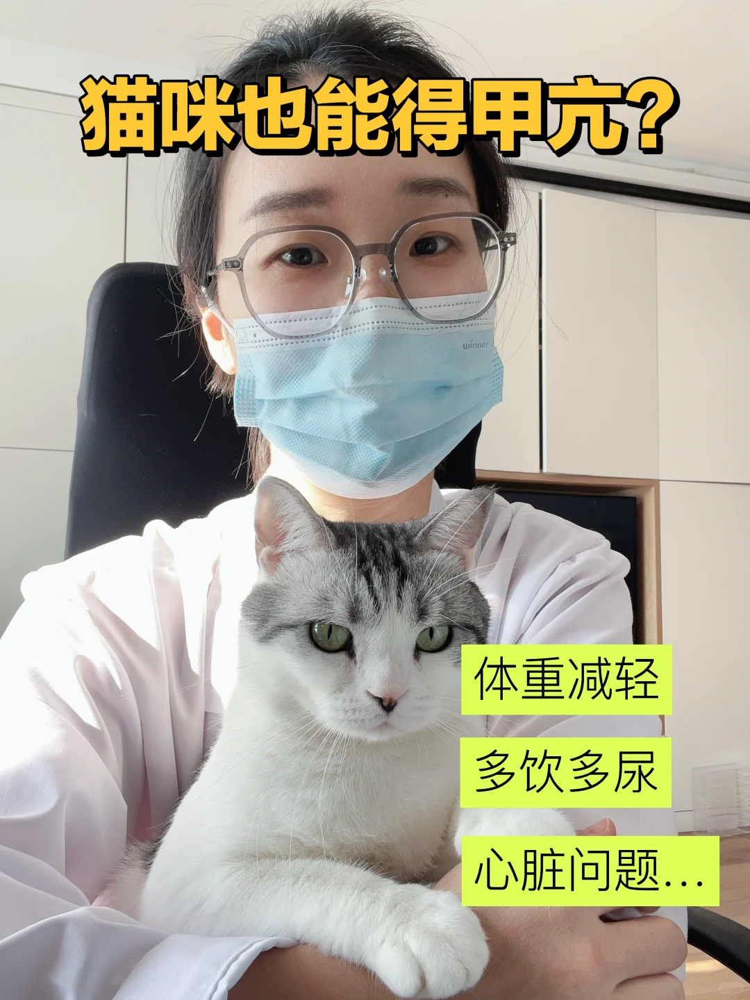 猫咪甲状腺功能亢进全解析