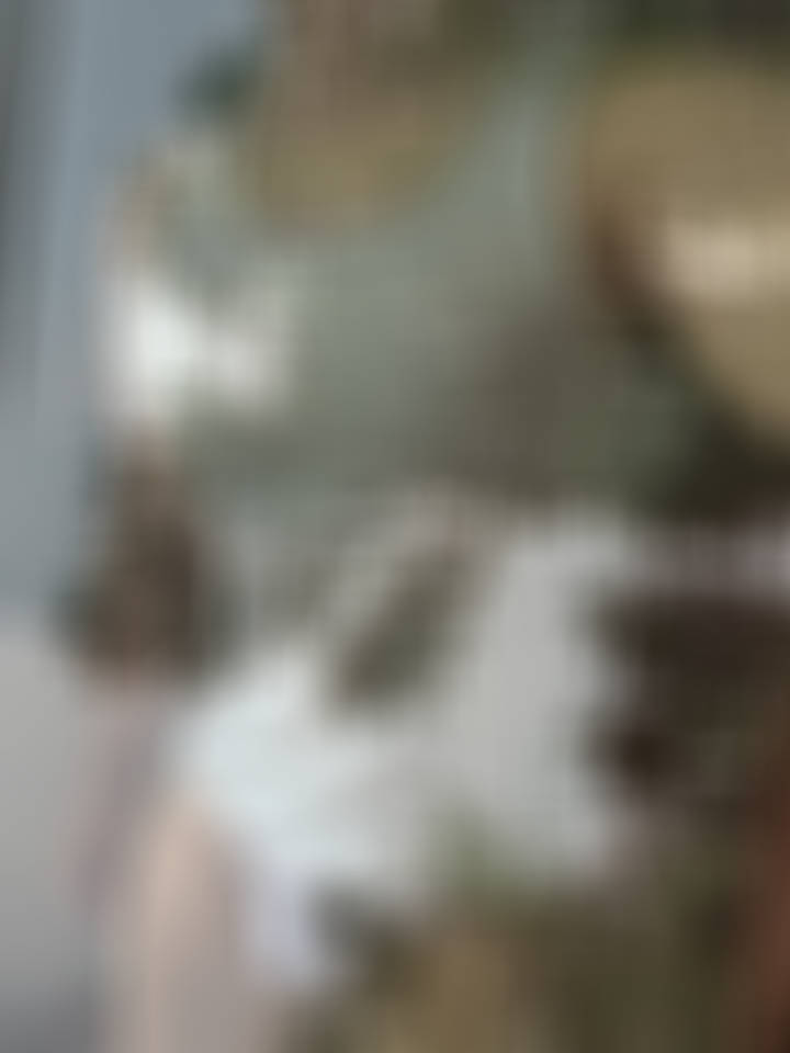 勤劳的小蜜蜂运动打卡
