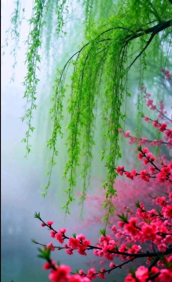 四季属春最风流，
万物丛中献温柔，
吻得桃花羞红面，
………？

上联：别有千般