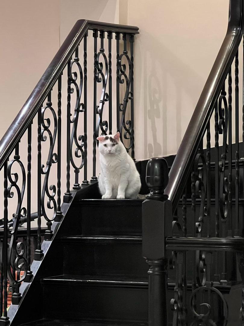 二毛你有没有想过，把猪养胖了，冬天会干嘛？ ​​​