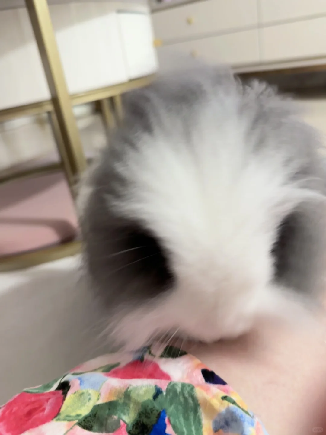 麻麻的腿是香的
