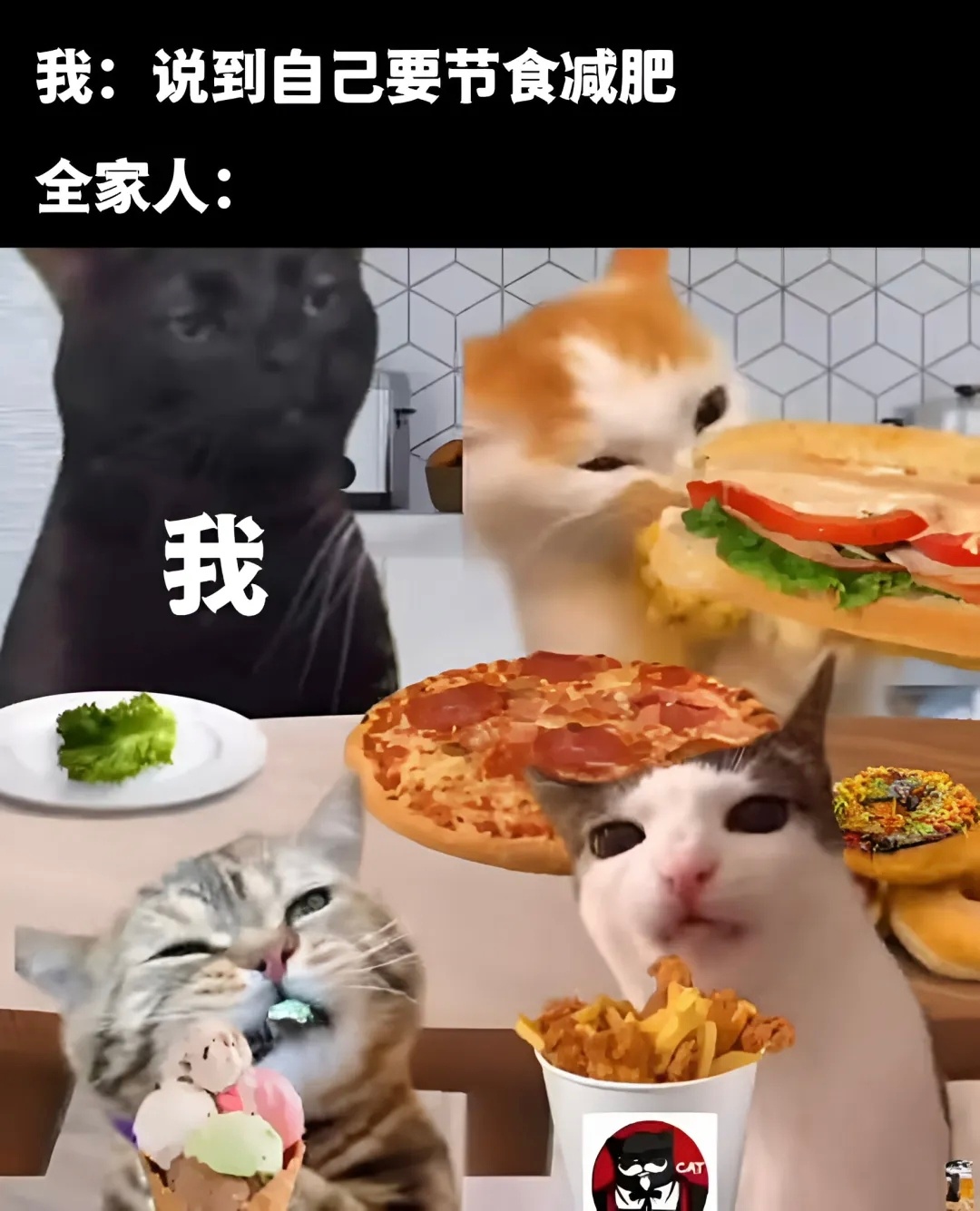 我减肥路上最大的阻碍 ​​​