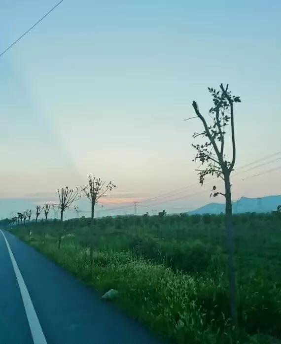 农村内向自卑敏感研究生，一定要社会化训练

每当过年回家的时候，我总是把自己关在